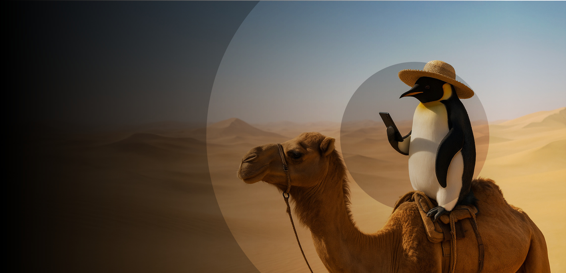 Real-time audio weather updates. At home. In your car. On your phone.